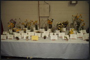 Wildflower Show No. 1