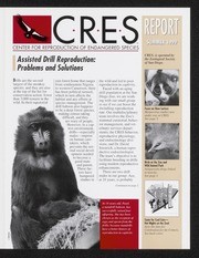 CRES Report Summer 1999