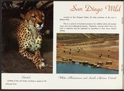 San Diego Zoo pamphlet with map of San Diego