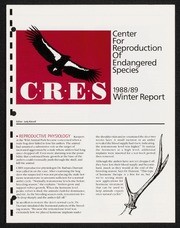 CRES Report Winter 1988/1989
