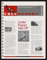 CRES Report Summer 1991