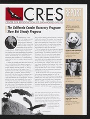 CRES Report Winter 1999