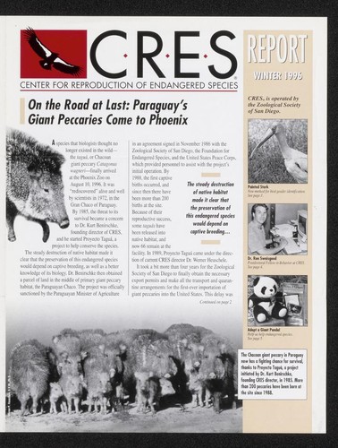 CRES Report Winter 1996