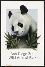 San Diego Zoo Wild Animal Park Giant Panda Postcard