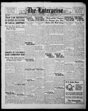 The Enterprise 1925-04-02