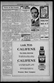 The Enterprise 1919-07-11