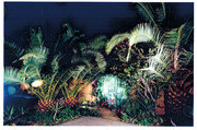 "Avian Alcove" - Nighttime View Wide Angle
