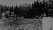 Camp Nelson Cattle Drive, Porterville, Calif., ca 1920