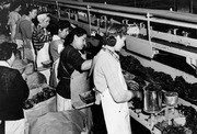 Women Working in Cannery, Visalia, Calif