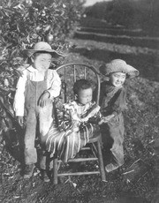 Three Nagata children in an orange grove near Lemon Cove, California