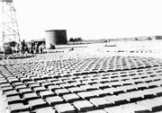 Adobe bricks drying at Camp Poston