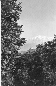 California's Mt. Baldy Framed by Orange Trees