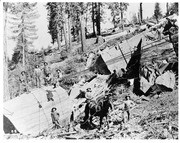 Lumbermen Working on a Felled Tree