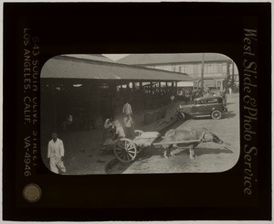 Carabao cart near market, Manila, Philippines, 1931