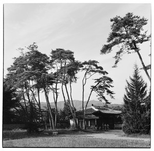 American soldiers approaching a tiled roof house amidst trees, South Korea