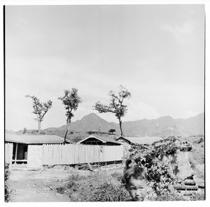 Boy in the foreground, man with cow in background, a house in between, Korea