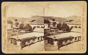 "2004---Spanish Town, Los Angeles, California", stereoview, circa 1878