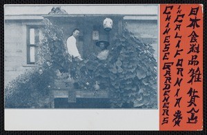 Chinese gardeners in California, postcard, 1910