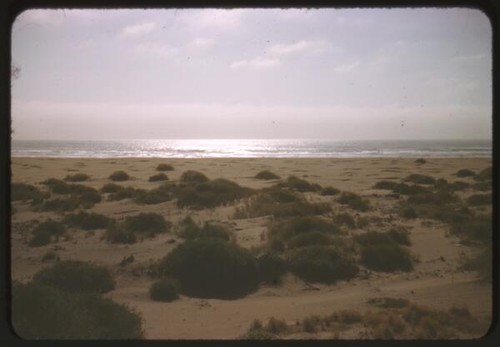 Clam Beach, Calif. Near Trinidad