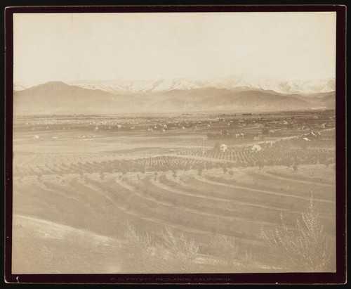 Panorama, Redlands, California (C)