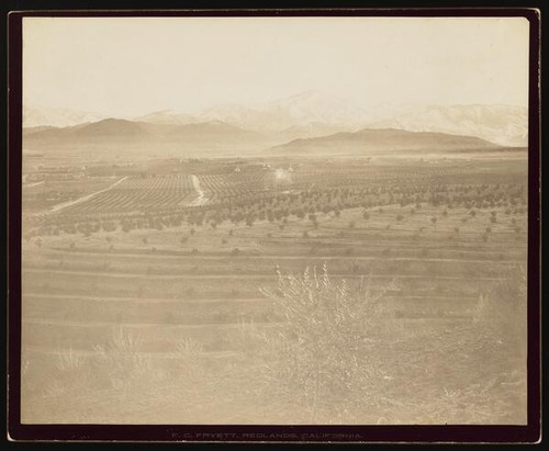 Panorama, Redlands, California (D)