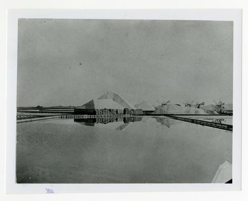 Turk Island Salt Works, Alvarado, Alameda County