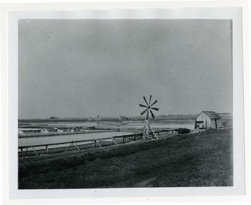 Turk Island Salt Works, Alvarado, Alameda County