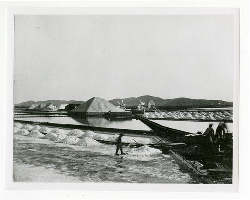 Turk Island Salt Works, Alvarado, Alameda County