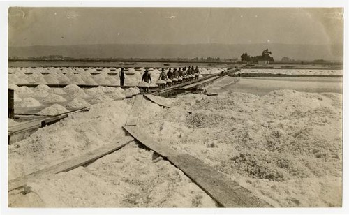 Salt works, Alvarado, Alameda County