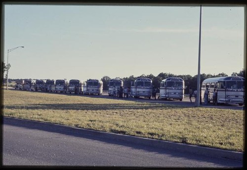 Summer trip: buses