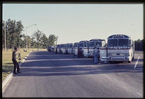 Summer trip: buses