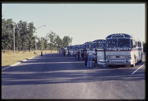 Summer trip: buses