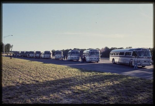 Summer trip: buses