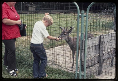 Guyana Zoo