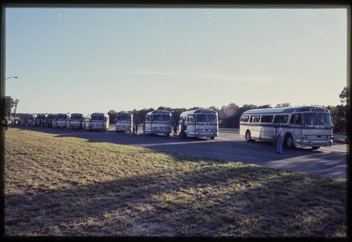 Summer trip: buses