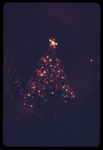 Christmas tree