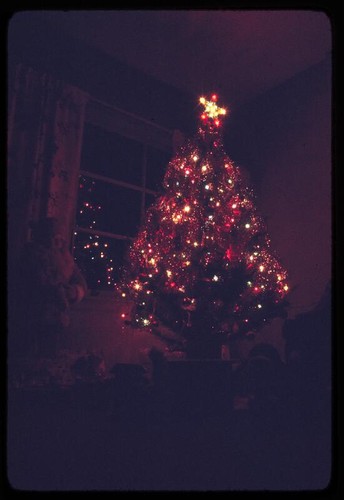 Christmas tree