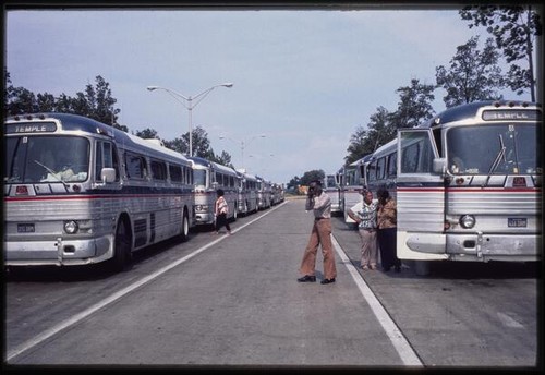 Summer trip: buses