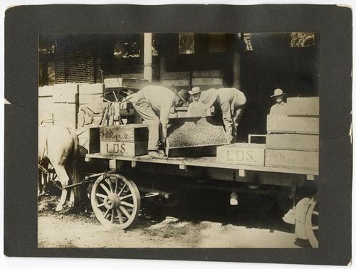 Agricultural laborers unloading boxes of raisins in Selma, Fresno County, California