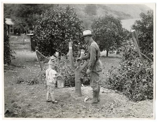 Man and child examining an undesirable orange tree