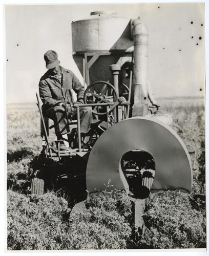 Agricultural worker using machine for gthering seed from guayule plants