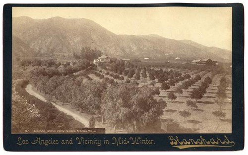 Orange Grove From Sierra Madra Villa