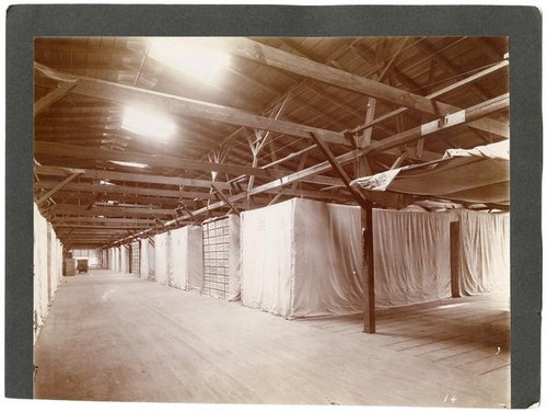 Lemons awaiting shipment, California