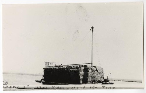 Loading operations at Upper Ranch on Russ Island, Solano County