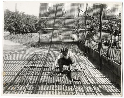 Worker sowing oranges under sun-shelters