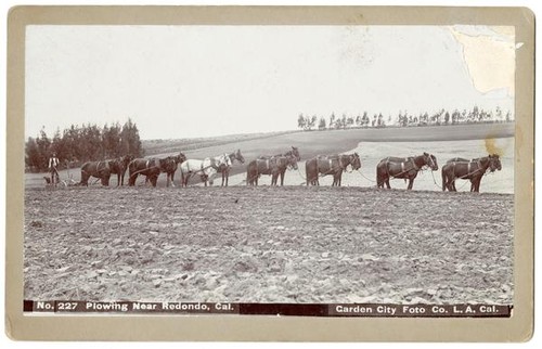 Plowing near Redondo, California