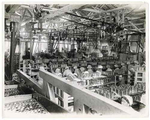 Men and women workers canning peaches in Santa Clara County, Califonira