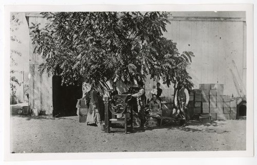 Men, women, and child with a fruit press, Hayward, Alamda County, 1885