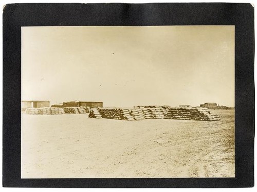 Sacked wheat awaiting shipment, California