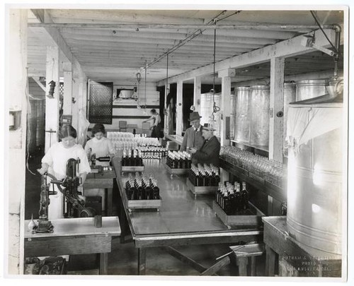 Workers bottling olive oil, California